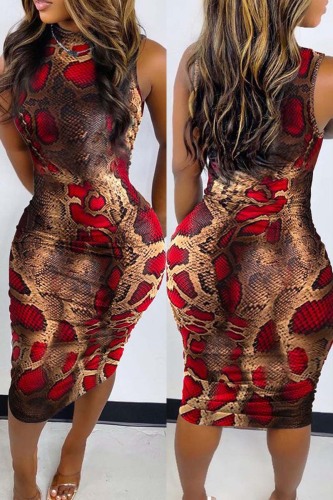 Brown Casual Print Solid Basic O Neck Denim Dress Dresses