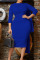 Royal Blue Elegant Solid Patchwork O Neck Pencil Skirt Dresses