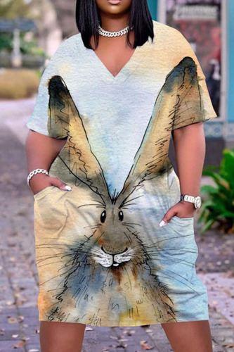 Lady Grey Casual Print Patchwork V Neck Straight Dresses