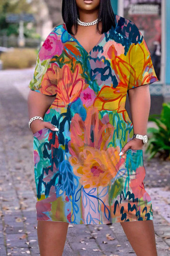 Colour Casual Street Print Patchwork V Neck Straight Dresses