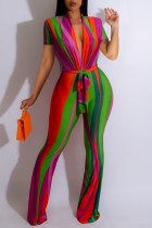 Multicolor Casual Print Patchwork V Neck Regular Jumpsuits