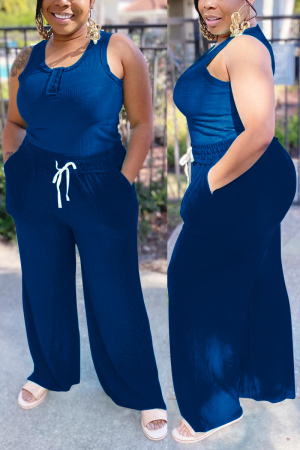 Deep Blue Casual Daily Simplicity Solid Basic U Neck Sleeveless Two Pieces