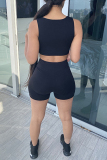 Black Sexy Casual Solid Basic V Neck Sleeveless Two Pieces