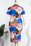 Colour Casual Print Basic Turtleneck Short Sleeve Dress Plus Size Dresses