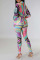 Multicolor Casual Print Bandage Patchwork Buckle Turndown Collar Long Sleeve Two Pieces
