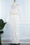 White Sexy Casual Solid Basic Turtleneck Long Sleeve Two Pieces