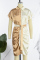 Apricot Casual Solid Patchwork Contrast Turndown Collar Short Sleeve Dress Dresses