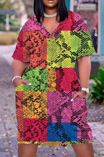 Colour Casual Print Patchwork V Neck Short Sleeve Dress