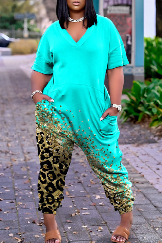 Lake Green Street Print Patchwork V Neck Harlan Jumpsuits