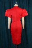 Red Formal Solid Slit Half A Turtleneck Evening Dress Dresses
