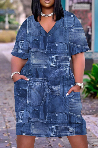 Tibetan Blue Casual Print Patchwork V Neck Short Sleeve Dress