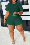 Ink Green Casual Solid Patchwork O Neck Plus Size Two Pieces