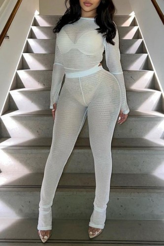 White Casual Solid See-through O Neck Long Sleeve Two Pieces