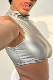 Silver Sexy Casual Solid Basic Turtleneck Tops