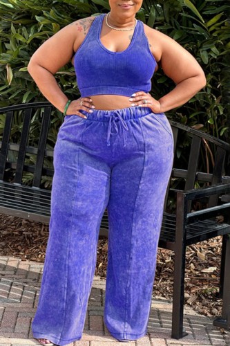 Blue Casual Solid Vests Pants O Neck Plus Size Two Pieces