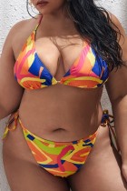 Multicolor Sexy Print Bandage Backless Halter Plus Size Swimwear (With Paddings)