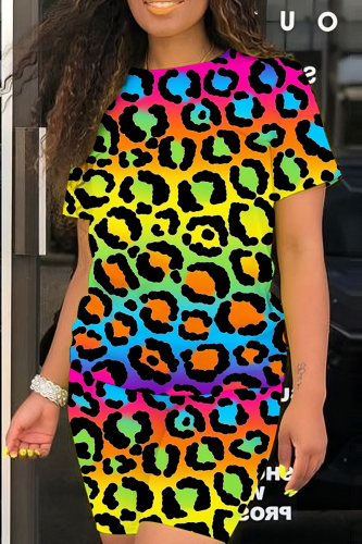 Multicolor Casual Print Basic O Neck Short Sleeve Two Pieces