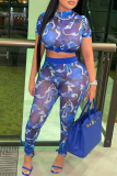 Blue Sexy Casual Street Print Mesh Half A Turtleneck Long Sleeve Two Pieces