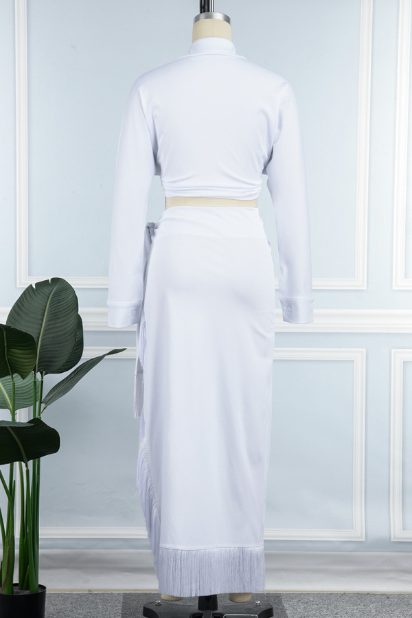 Elegant Solid Frenulum Asymmetrical Oblique Collar Two Pieces