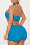 Blue Sexy Casual Solid Backless Halter Sleeveless Two Pieces