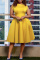 Yellow Casual Solid Basic O Neck Sleeveless Dress Dresses
