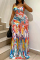 Colour Casual Vacation Simplicity Mixed Printing Printing Contrast Spaghetti Strap Sling Dress Dresses