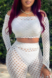 White Sexy Casual See-through Solid Color Off the Shoulder Long Sleeve Two Pieces