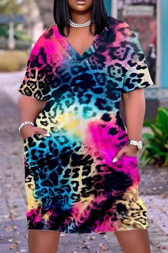 Multicolor Casual Print Patchwork V Neck Short Sleeve Dress