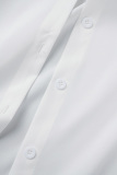 Light Blue Casual Solid Ripped Turndown Collar Long Sleeve Two Pieces