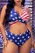 Blue Sexy Print Patchwork Backless Halter Plus Size Swimwear (With Paddings)