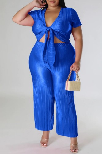 Blue Casual Solid Frenulum V Neck Plus Size Two Pieces