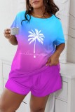Powder Blue Casual Print Solid Basic O Neck Plus Size Two Pieces