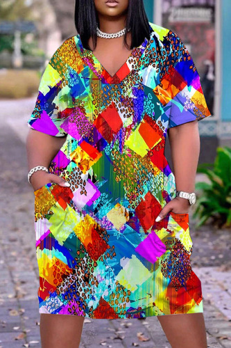 Multicolor Casual Print Basic V Neck Short Sleeve Dress