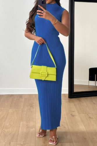 Blue Casual Solid Basic Turtleneck Long Dress Dresses