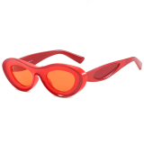 Red Casual Daily Solid Patchwork Sunglasses