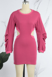 Blue Casual Solid Hollowed Out O Neck Long Sleeve Dresses