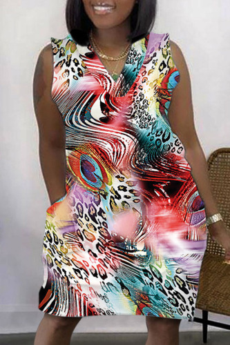 Colour Casual Print Patchwork V Neck Sleeveless Dress Dresses