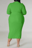 Green Casual Solid Basic Half A Turtleneck Long Sleeve Plus Size Dresses