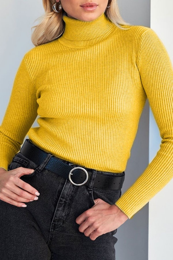 Yellow Casual Solid Basic Turtleneck Tops