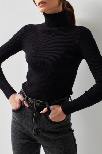Black Casual Solid Basic Turtleneck Tops