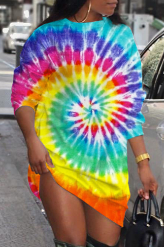 Colour Casual Print Basic O Neck Long Sleeve Dresses