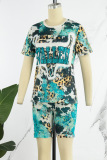 Leopard Print Casual Print Basic O Neck Short Sleeve Two Pieces