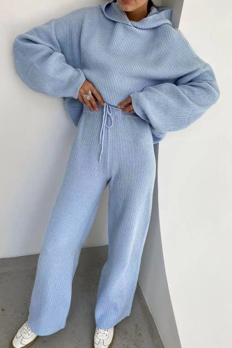 Blue Casual Solid Draw String Hooded Collar Long Sleeve Two Pieces