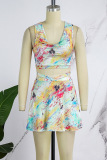 Multicolor Print Basic V Neck Sleeveless Two Pieces