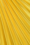 Yellow Casual Solid Hollowed Out Backless Pleated Oblique Collar Long Dress Dresses