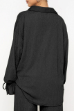 Black Casual Solid Slit Fold Turndown Collar Long Sleeve Two Pieces