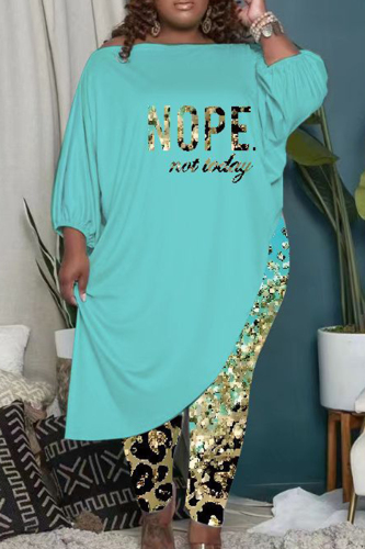 Sky Blue Plus Size Casual Print Patchwork Oblique Collar Plus Size Two Pieces