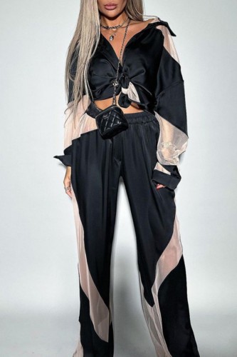 Black Casual Patchwork See-through Contrast Turndown Collar Long Sleeve Two Pieces