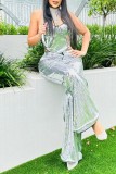 Silver Sexy Casual Patchwork Sequins Backless Strapless Sleeveless Two Pieces