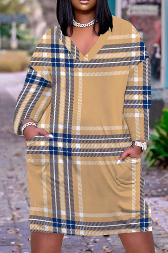 Earth Yellow Casual Print Basic V Neck Long Sleeve Dresses